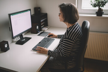 Elderly woman working on the computer