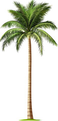 Majestic Palm Tree Illustration