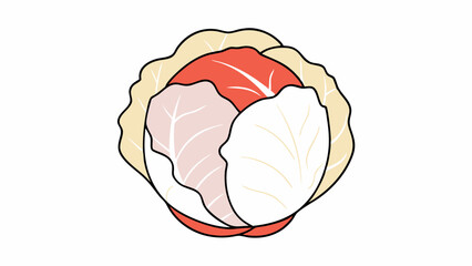 Stylized Napa Cabbage Illustration