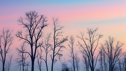 Obraz premium Silhouetted bare trees stand tall against a breathtaking pastel sunset sky, creating a serene and peaceful winter landscape.
