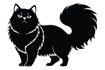 Standing sleek black feline with fluffy tail and piercing eyes evokes elegant charm