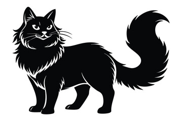 Majestic black cat stands, its bushy tail curled elegantly against a white background