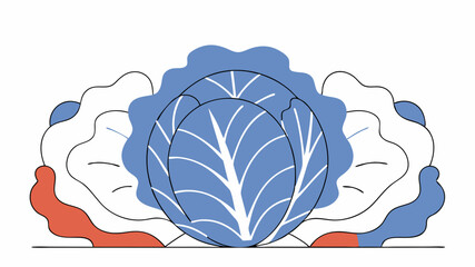 Stylized Cabbage Illustration
