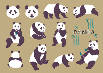 色々なポーズのパンダ　セット