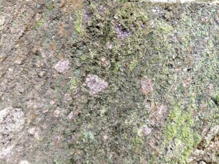 Every wall holds a story, this texture is just one chapter