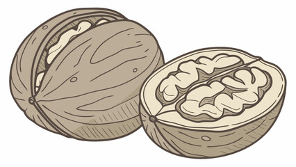 Whole and Halved Walnuts