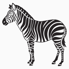 Fototapeta premium Striking Black and White Zebra Illustration A Captivating Depiction of Wildlife and Natural Beauty Showcasing the Iconic Stripes and Graceful Form of This Majestic African Animal in Elegant Simplicity