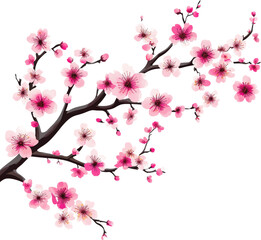 Beautiful Spring Cherry Blossom Branch