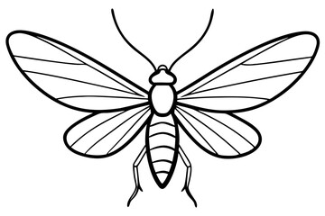 Simple Mayfly Line Drawing