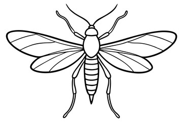 Simple Mayfly Line Drawing