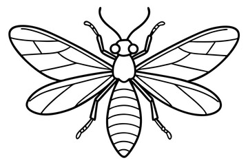 Simple Mayfly Line Drawing