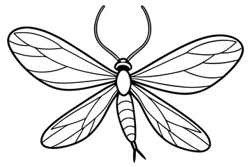 Simple Mayfly Line Drawing