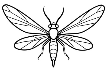 Simple Mayfly Line Drawing