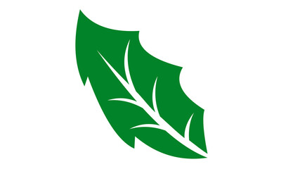 icon leaf vector illustration