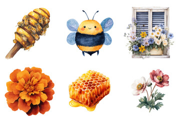 Watercolor illustrations of honeycombs bees marigolds flowers and a window box with transparent background