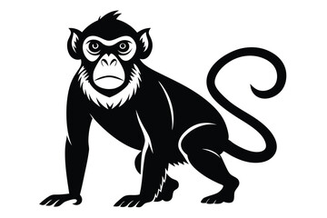 Black monkey is crouching and gazing straight ahead with a white background