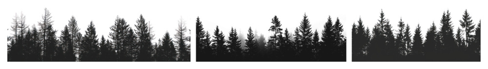 PNG Silhouette forest tree line, element set on transparent background