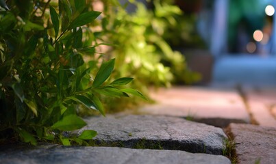stone steps in the park, Generative AI