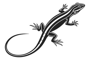 Monochrome lizard featuring distinct stripes and curled tail on a white backdrop