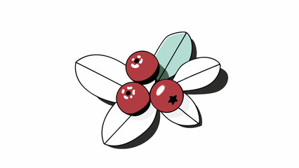 Cranberry Illustration with Leaves