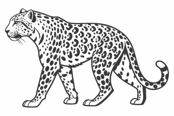 A monochrome leopard strides forward, showcasing its unique spotted pattern across its body with strong presence