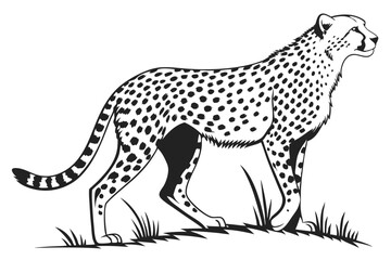 An intense cheetah stands alertly amidst grass in a striking monochrome silhouette portrait