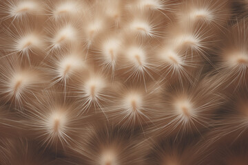 Fine light fibers spread across a warm background, creating a soft and ethereal look. Abstract design evokes feelings of comfort and tranquility, suitable for wellness, interior design, art