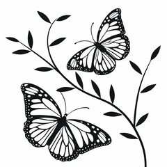 Beautiful black and white butterfly vector illustration on a floral summer garden leaf with delicate wings