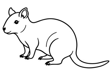 Simple Quokka Line Art