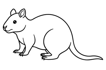Simple Quokka Line Art