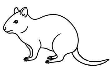 Simple Quokka Line Art