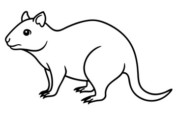 Simple Quokka Line Art