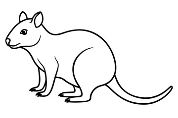 Simple Quokka Line Art