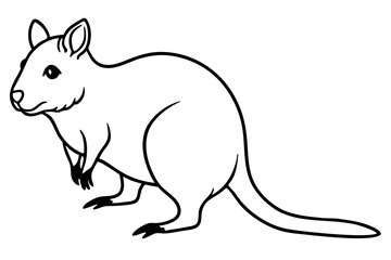 Simple Quokka Line Art