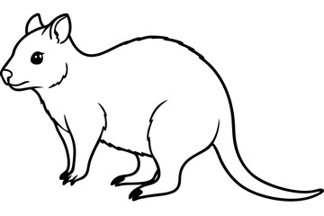 Simple Quokka Line Art