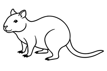 Simple Quokka Line Art