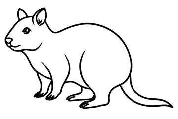 Simple Quokka Line Art