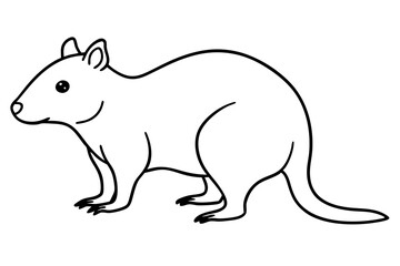 Simple Quokka Line Art