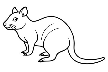 Simple Quokka Line Art