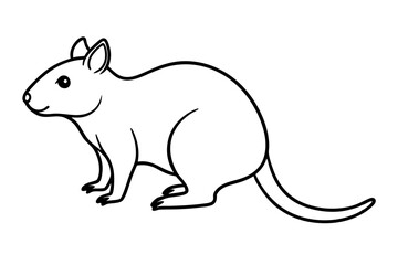 Simple Quokka Line Art