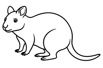 Simple Quokka Line Art