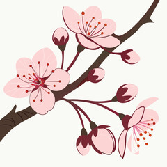 Pink cherry blossom branch: a beautiful floral design for spring