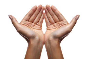 Two open human hands facing each other with relaxed palms realistic gesture symbolizing care offering and communication isolated on white or transparent background