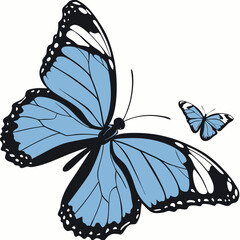 Beautiful swallowtail butterfly vector illustration on a white background, perfect for nature-inspired designs