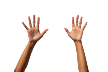 Open hands isolated on white or transparent background