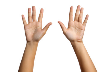 Open hands isolated on white or transparent background