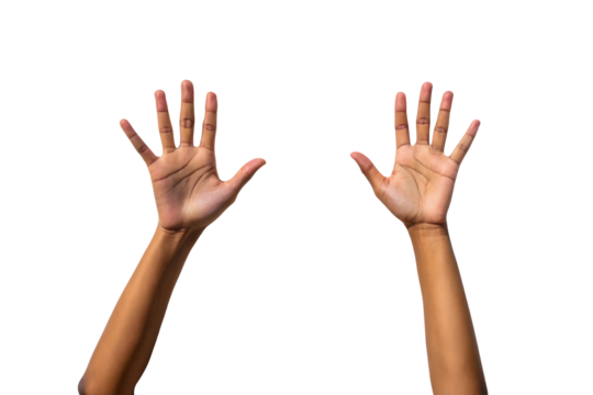Open hands isolated on white or transparent background