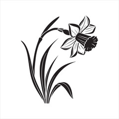 Fototapeta premium daffodil flower vector illustration