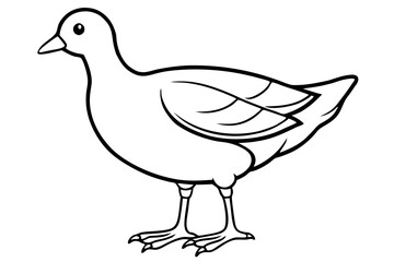 Stylized Moorhen Vector Art