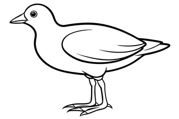 Stylized Moorhen Vector Art